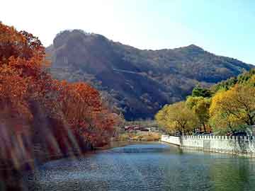 新澳天天免费资料大全，钢塑土工格栅价格